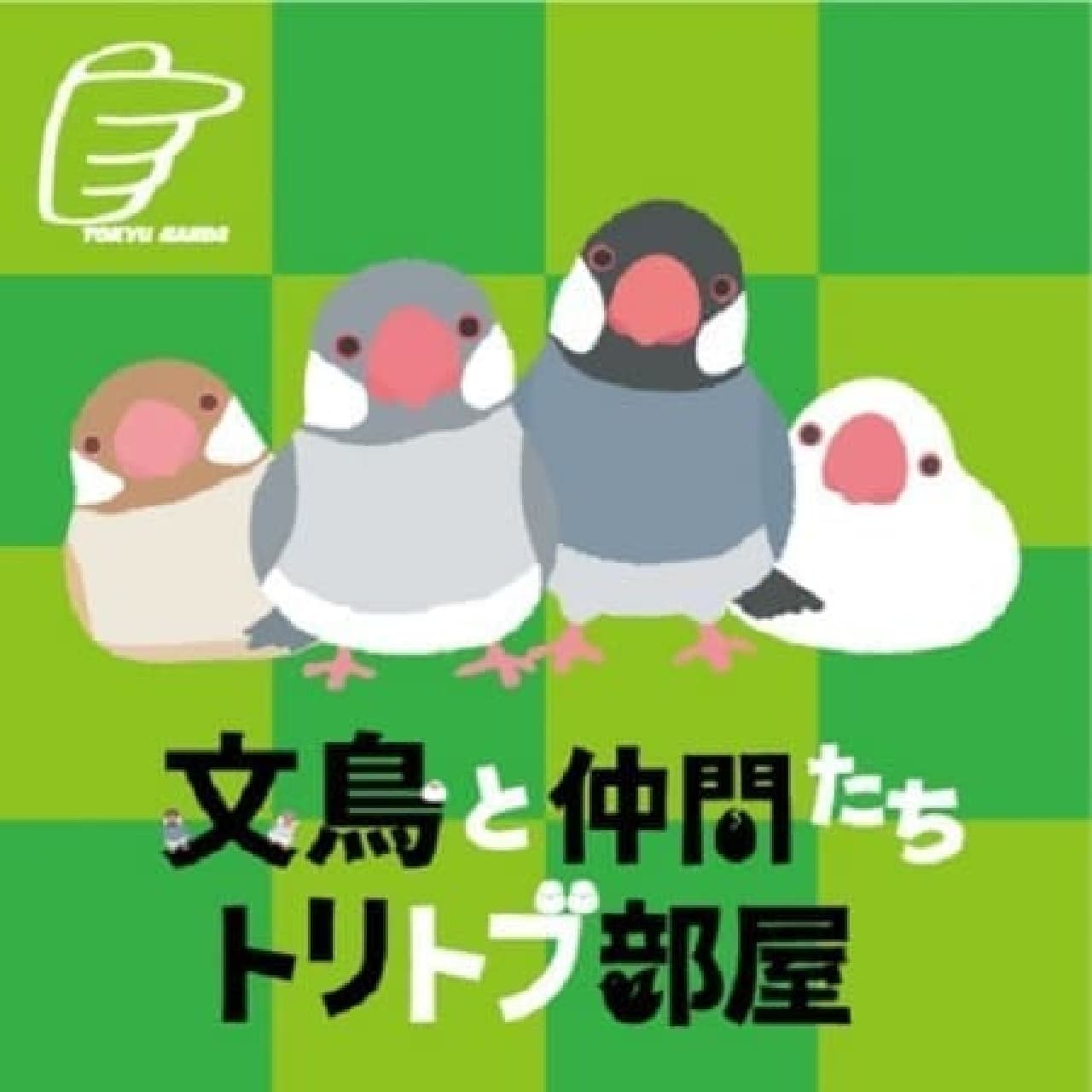 For cherry blossoms and white, if you like Java sparrows, go to Ikebukuro Hands!