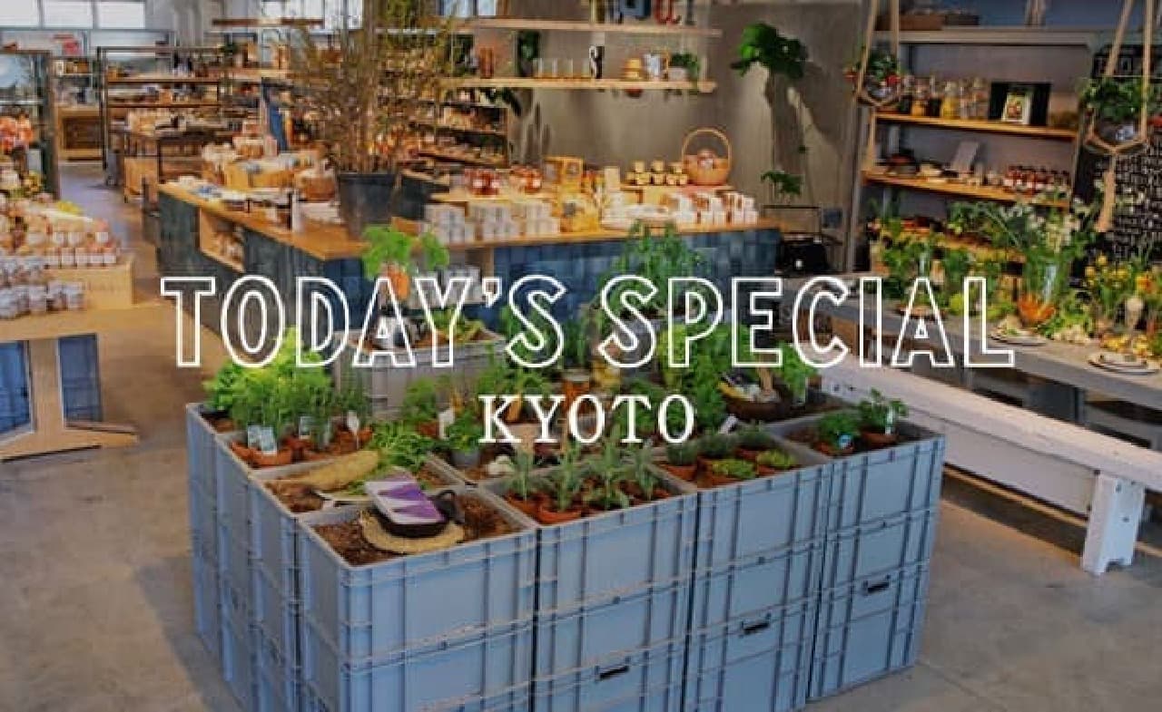 The long-awaited expansion of popular select shops into Kansai