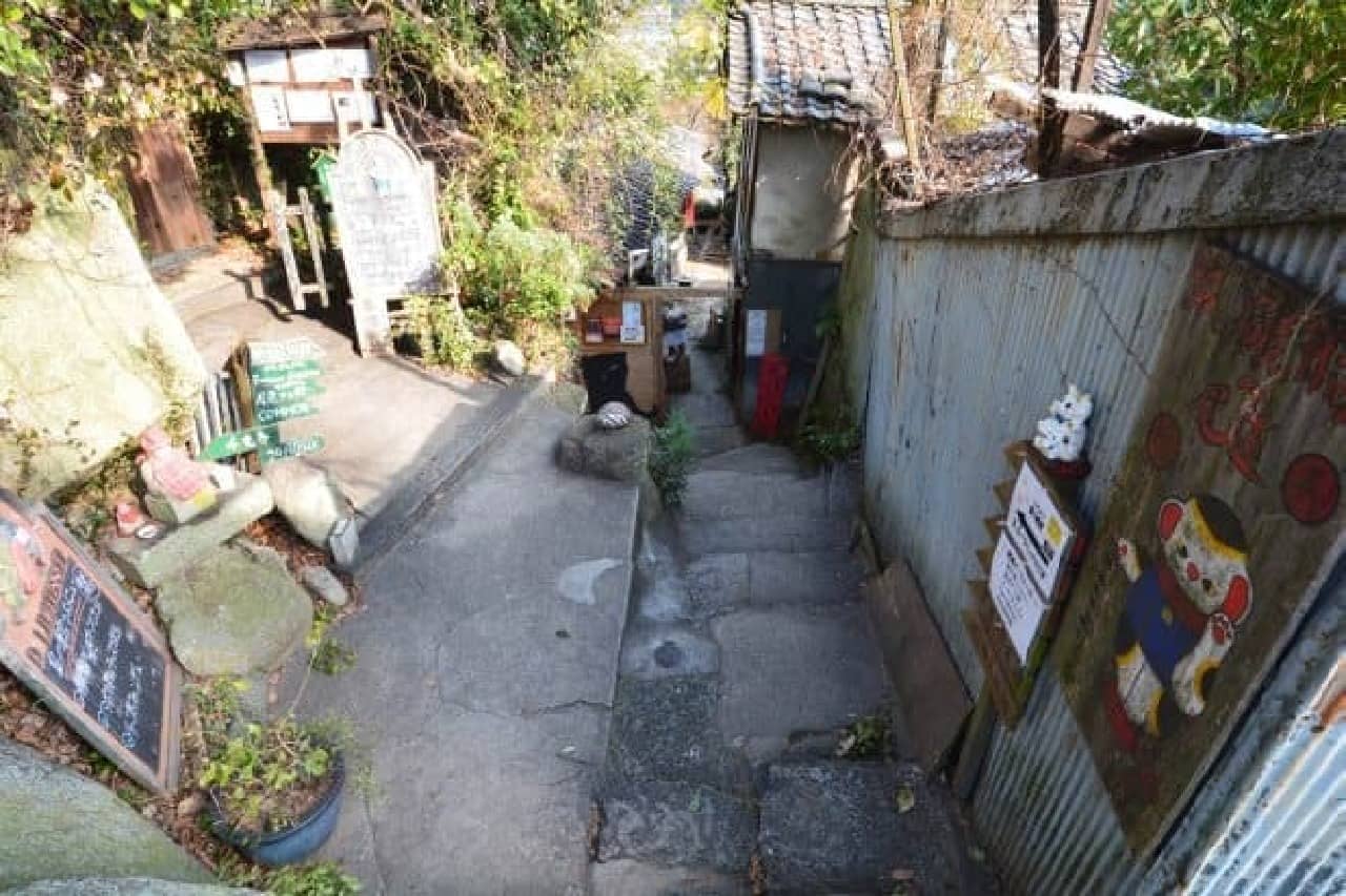 Onomichi Nyako (The image is a cat's path)