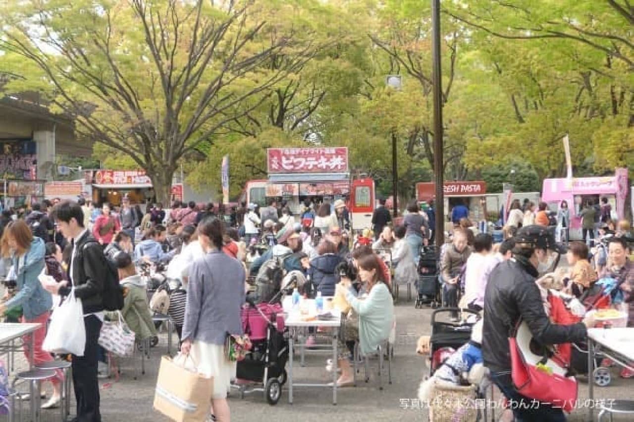 If you get tired, take a break at the dog cafe (The image is of Yoyogi Park Doggie Carnival)