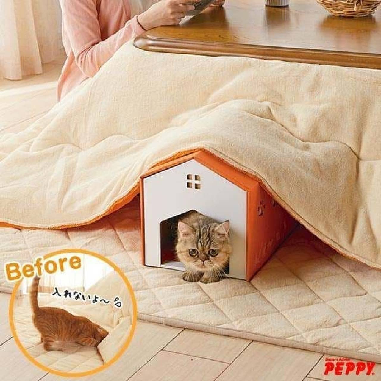 When I passed through the tunnel, it was in the kotatsu, wasn't it magic?