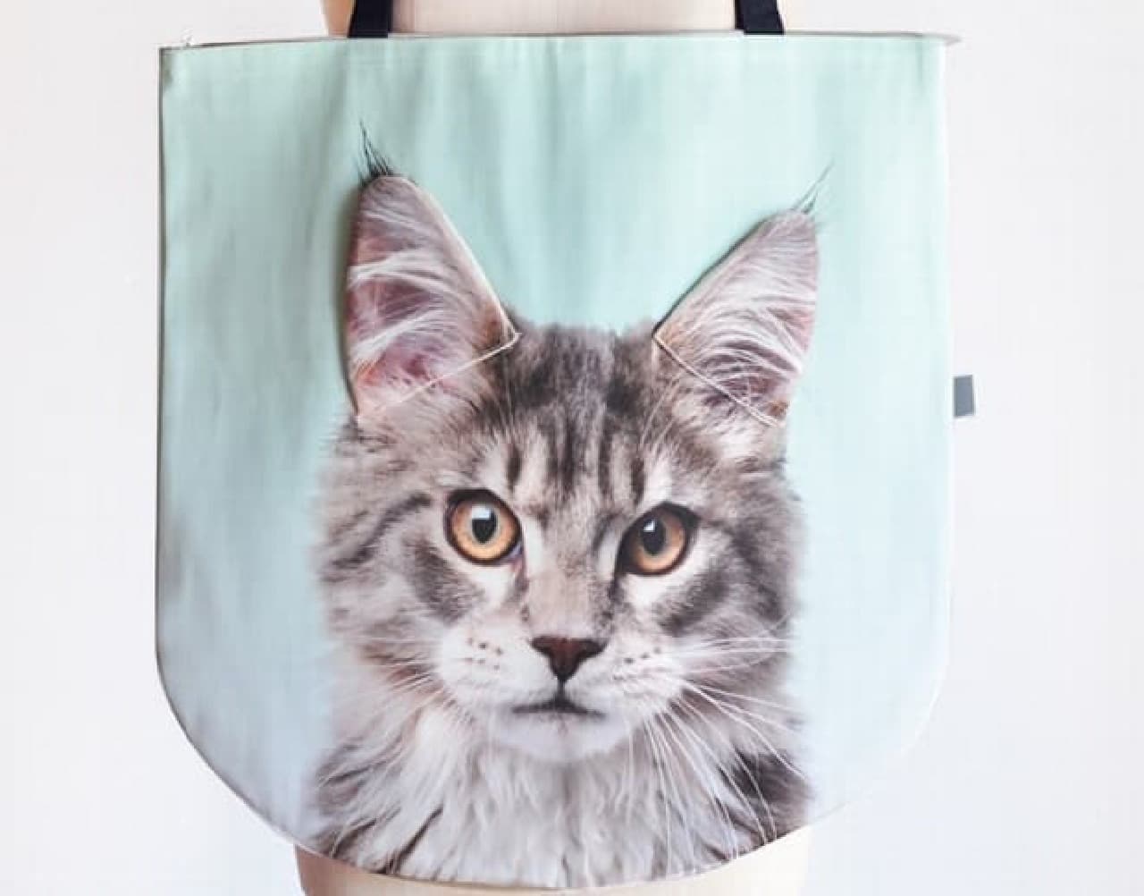 Newly added "Maine Coon"