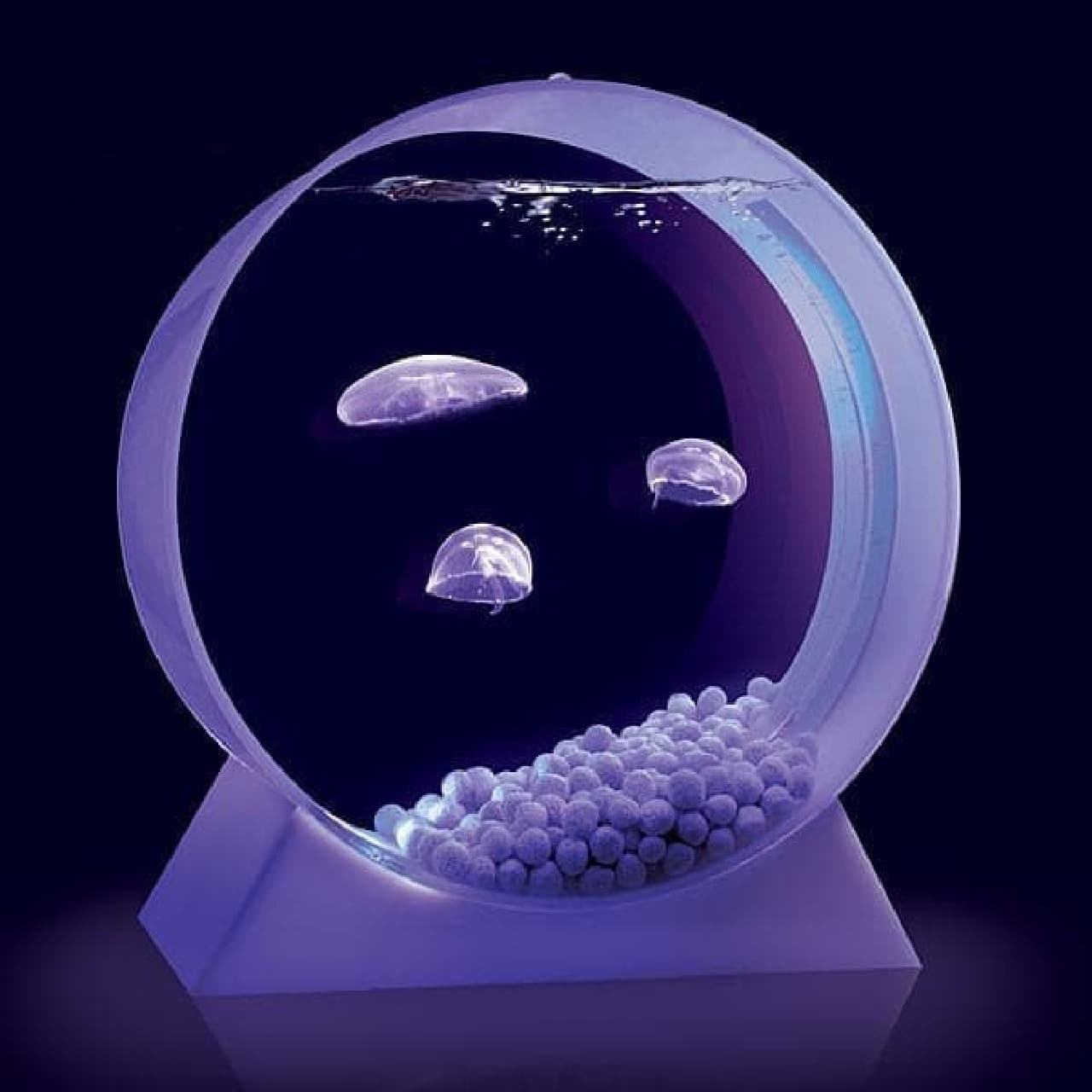 参考画像：「Desktop Jellyfish Tank」　　最新版と比較すると、デザインがちょっと古びた気もします