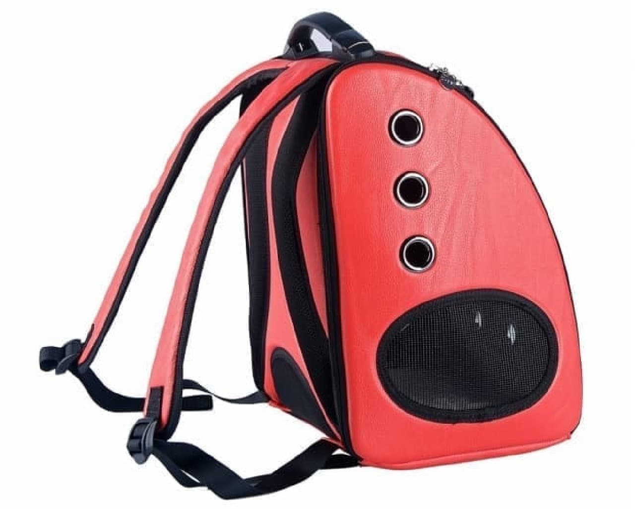 Pet carry sold by "U-pet" will satisfy the curiosity of cats