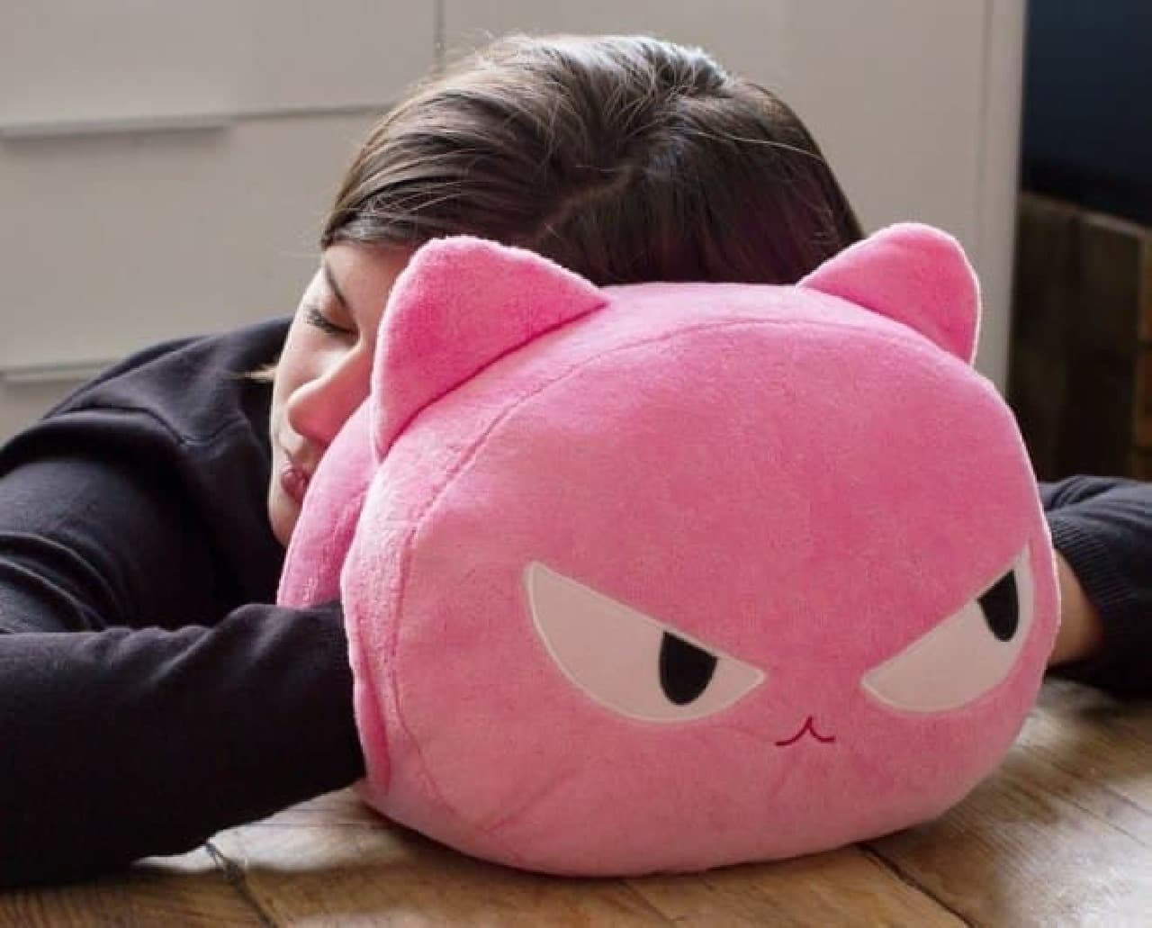 Pillow for nap "CAT NAP CUSHIONS"