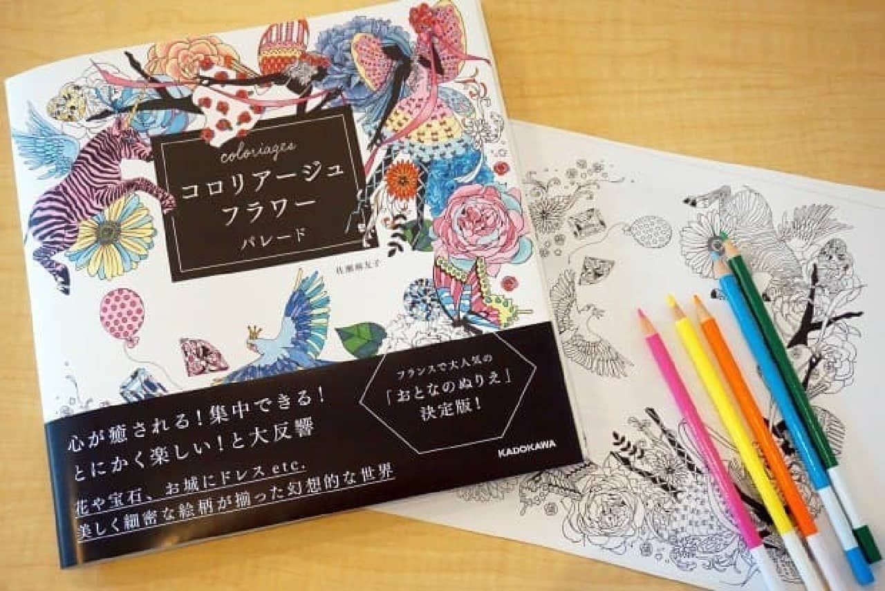 Experience the topic of coloriage!