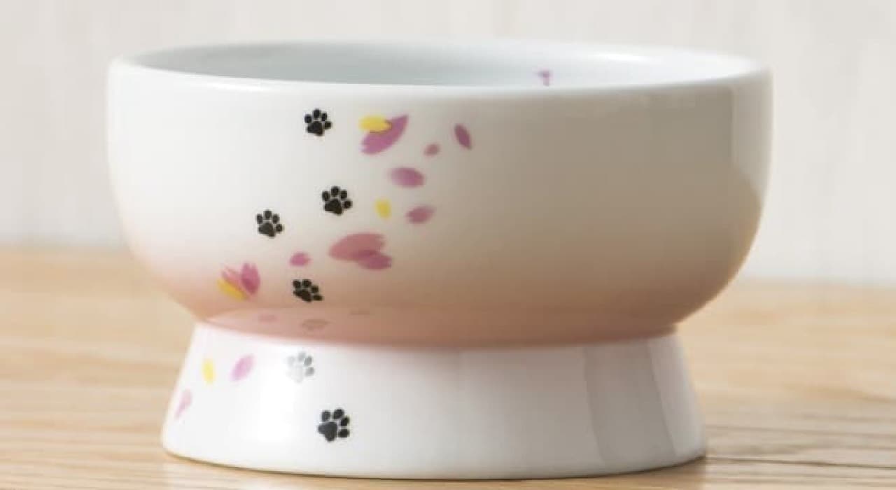 Release of tableware for cats with cherry blossom design that feels spring