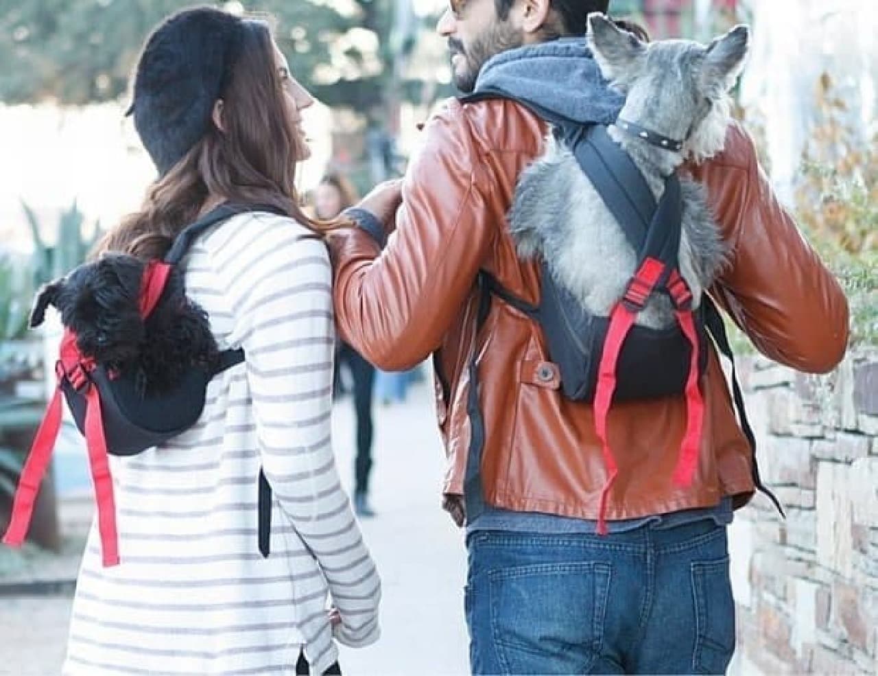 In "RUFFIT DOG CARRIER", face the same direction as the owner,