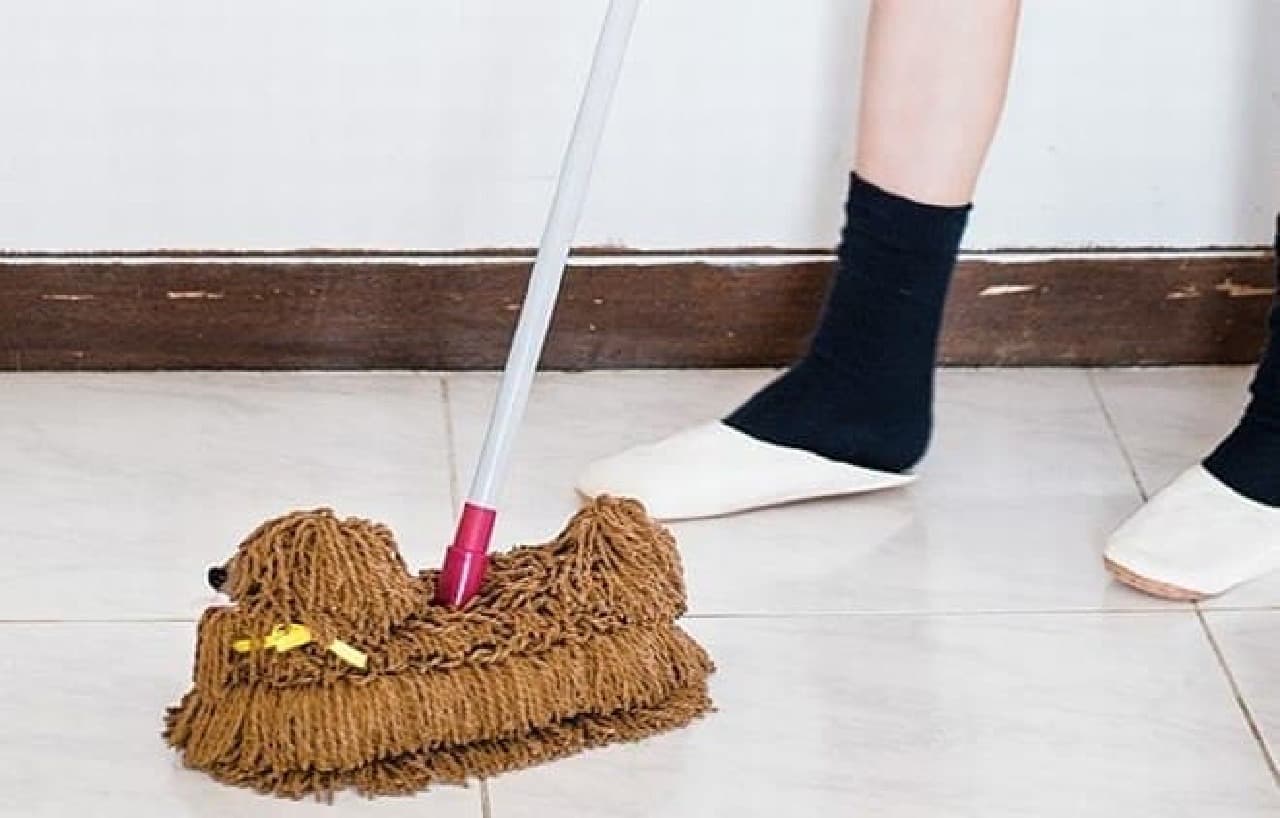 Does it look like you're taking a walk with a mop dog?