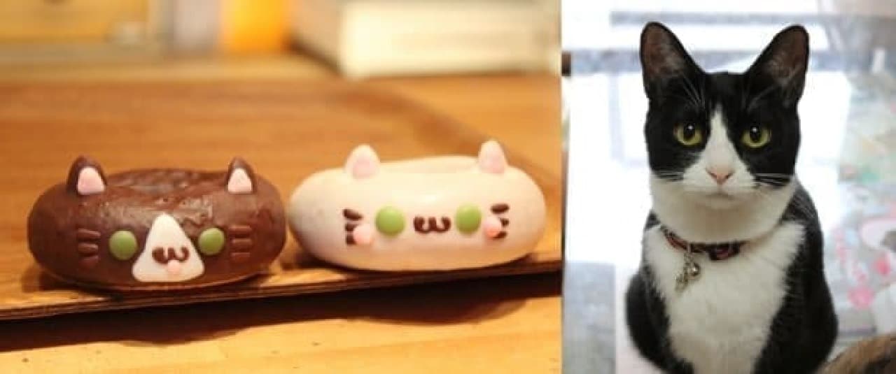 The new works "Hachi" (left) and "Shi-chan" (right) are similar to Ikumimama's cat "Hachi"!