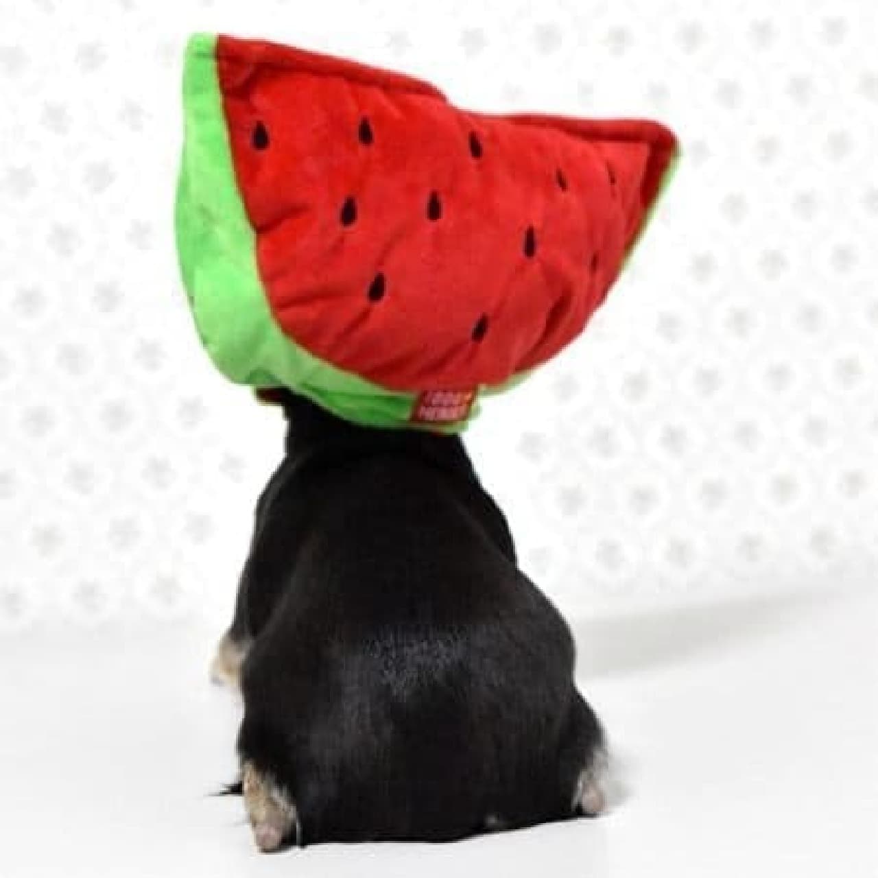 It is a walking watermelon