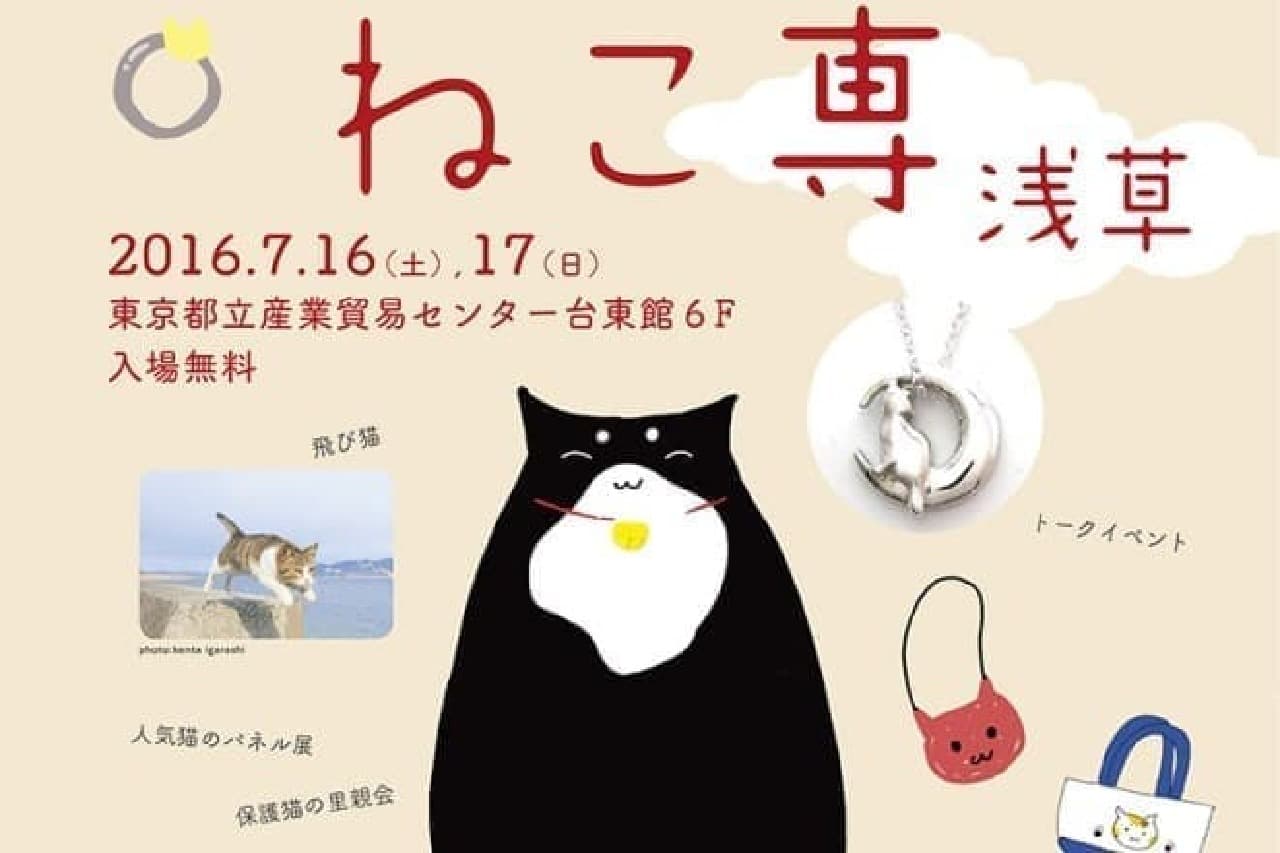 Cat event "Cat Sen" sponsored by Kenta Igarashi