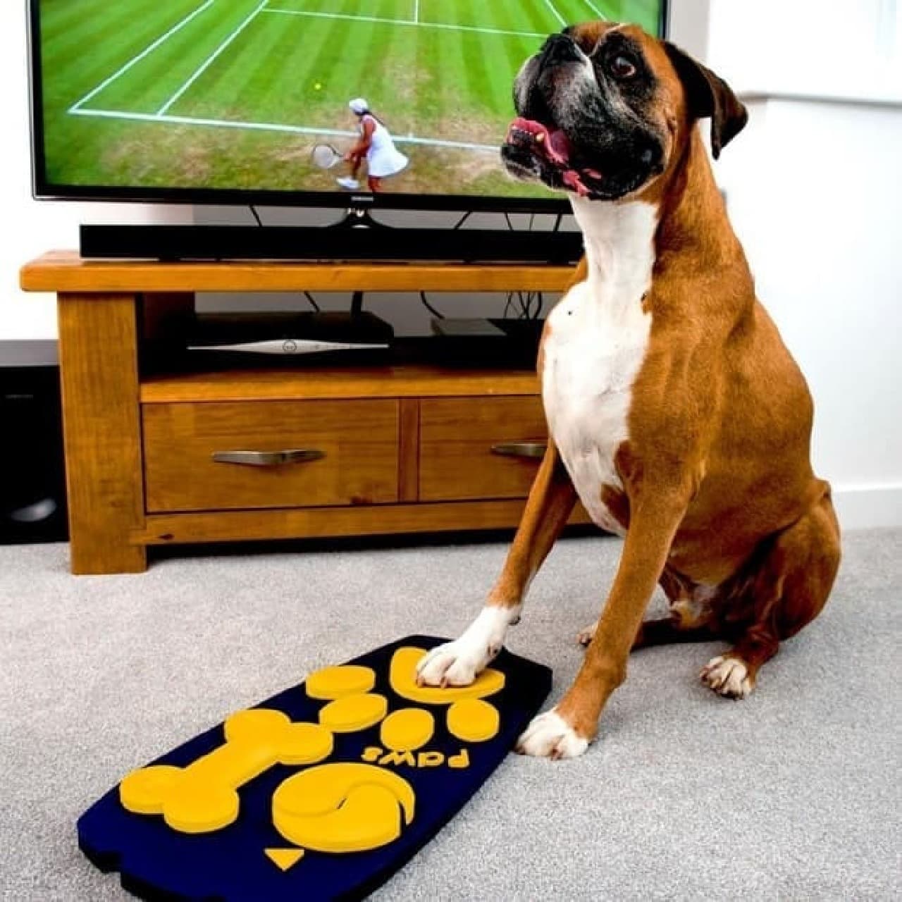 TV remote control for dogs developed by ped food maker Wagg Foods