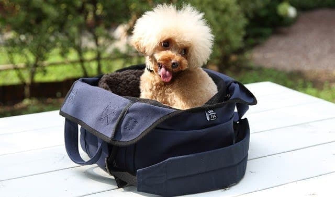 "House tote bag" that turns your pet bed into a tote bag