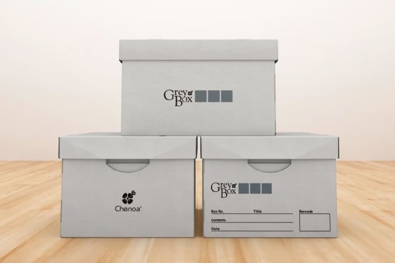 Box for storing your favorite items "Shnoa Gray Box"