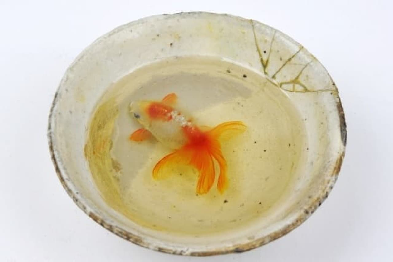 Goldfish painter Ryusuke Fukahori's exhibition "Goldfish in the Sky"