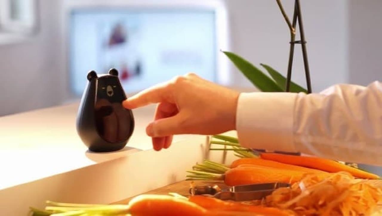 Universal remote control "Bearbot" operated by gestures