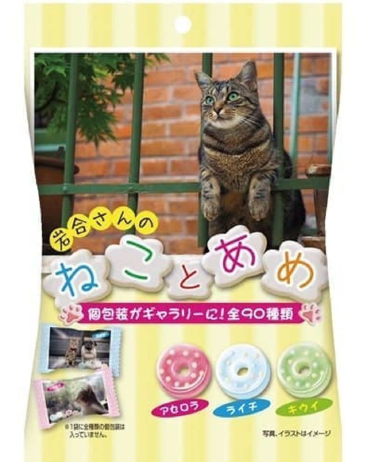 岩合光昭さんのネコ写真がパッケージ パインアメの「ねことあめ」