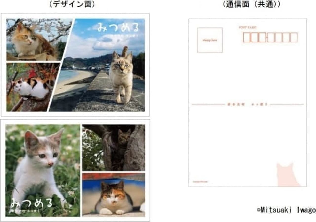 Mitsuaki Iwago's "Cat Goods / Frame Stamp Set" Appears Only at Post Offices