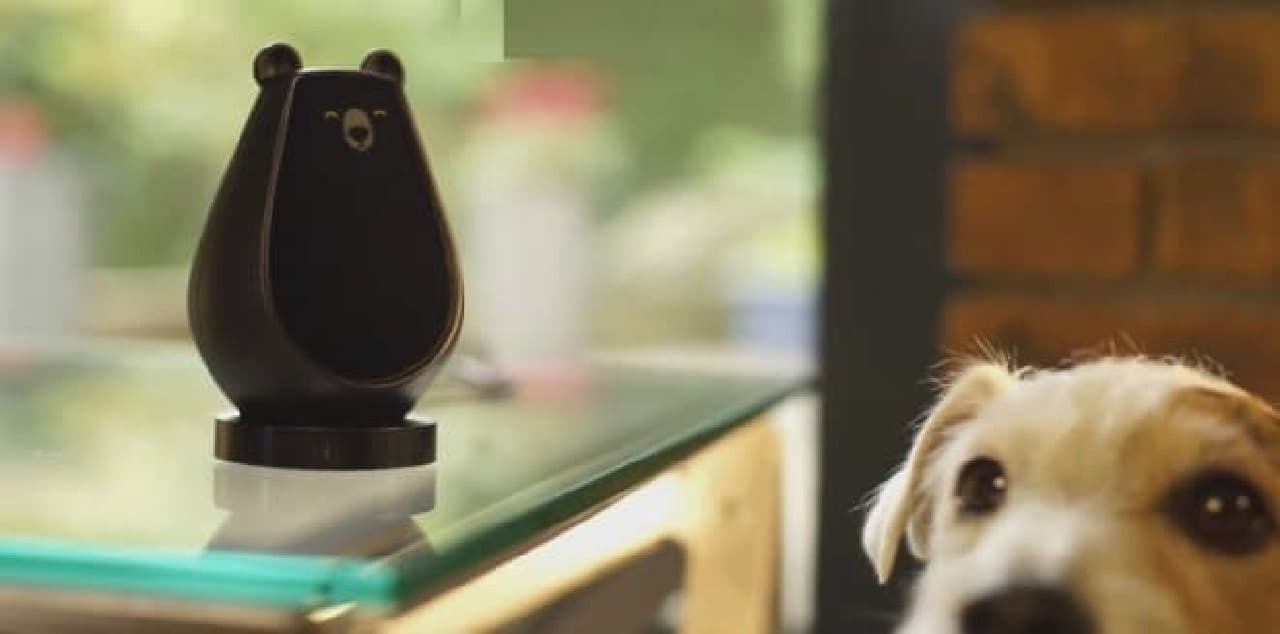 Universal remote control "Bearbot" operated by gestures