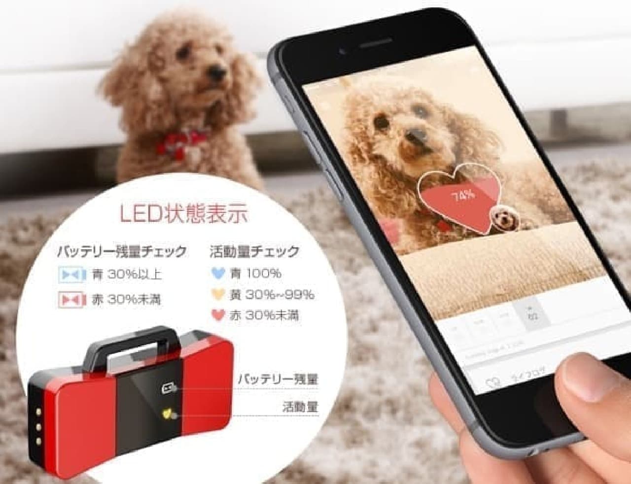 Activity meter for pets "ChouPet"