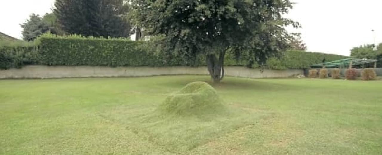 庭で育てる芝生アームチェア「TERRA」