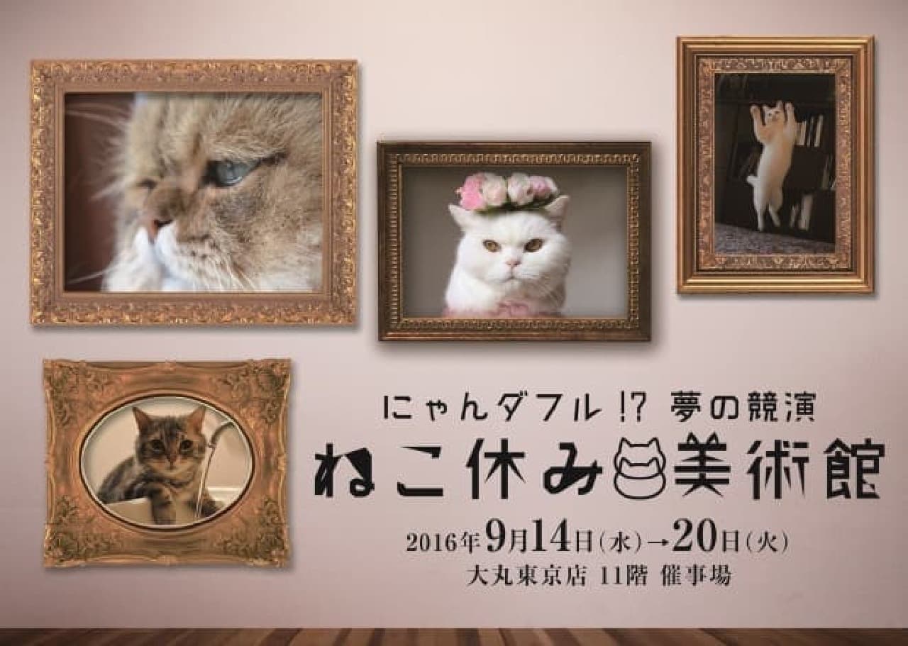 "Cat Holiday Museum" in collaboration with cats and masterpieces