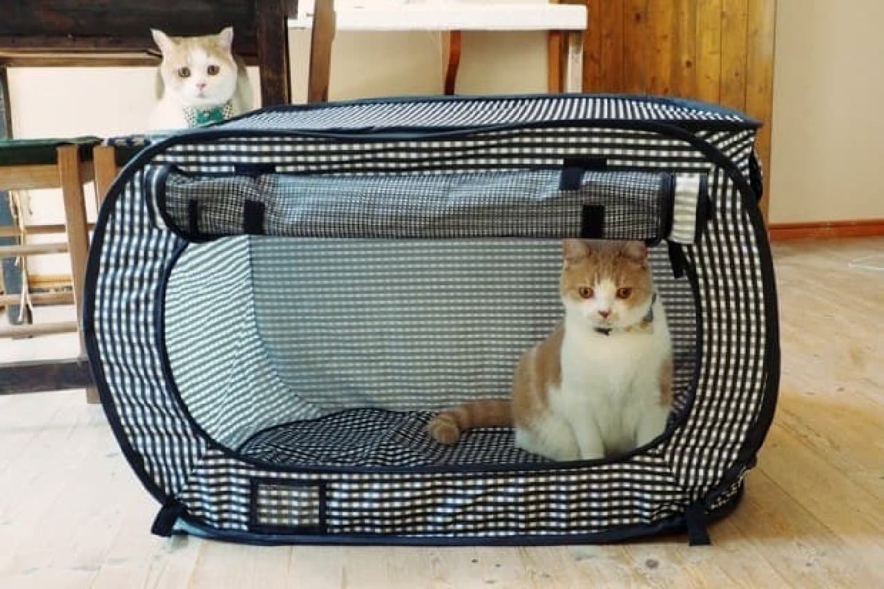 Disaster prevention goods for cats "Nekoichi Portable Cage" has undergone a minor change!
