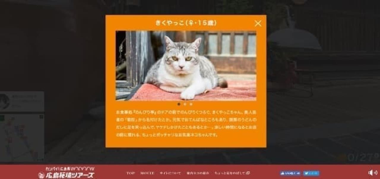 Hiroshima CAT STREET VIEW Takehara edition