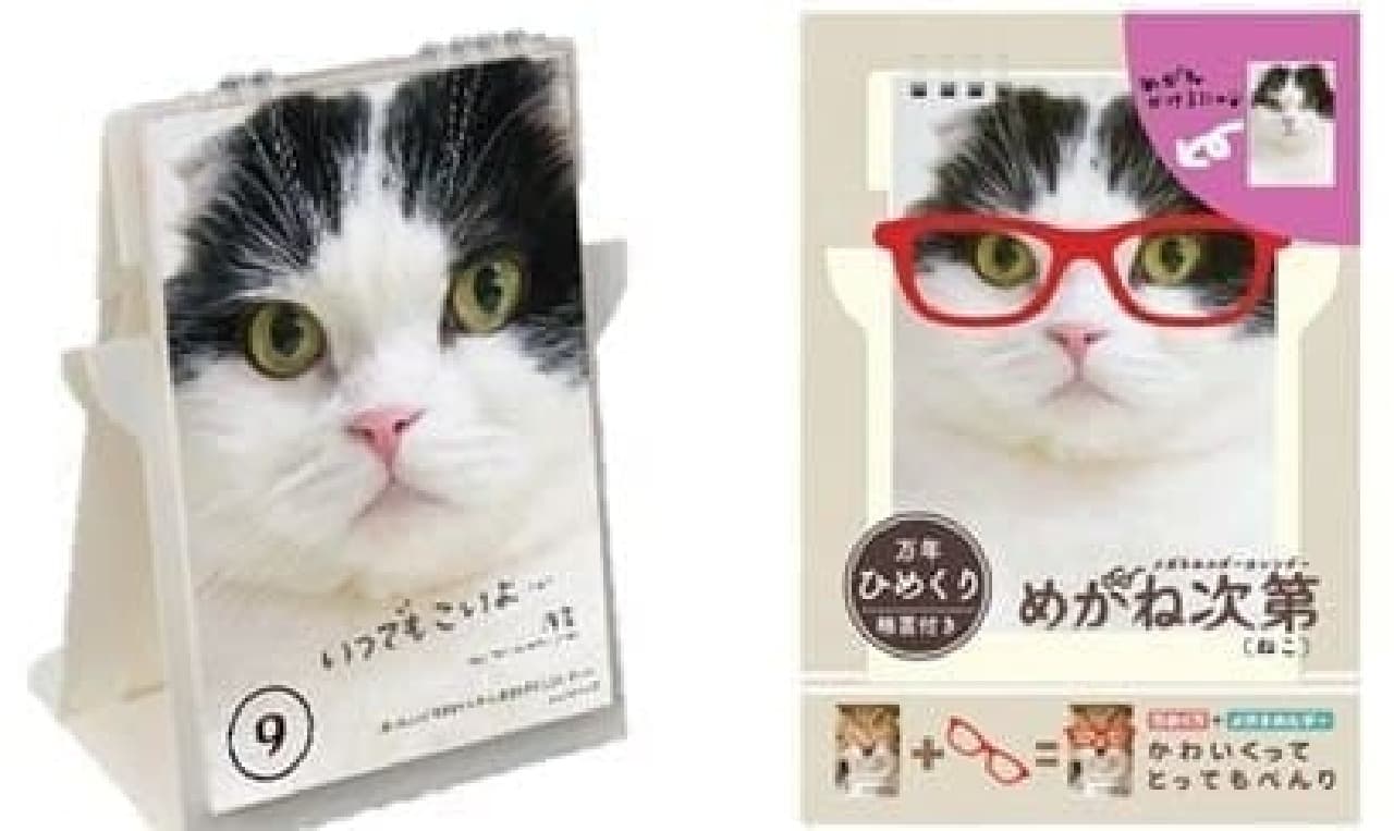 Permanent day turning calendar with glasses holder "Cat" "Inu"