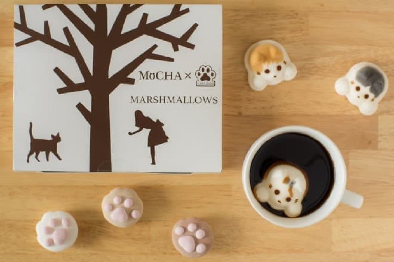 "Mocha marshmallow" which is a collaboration between "Yawahada" and "Cat Cafe MoCHA" of meat ball marshmallow