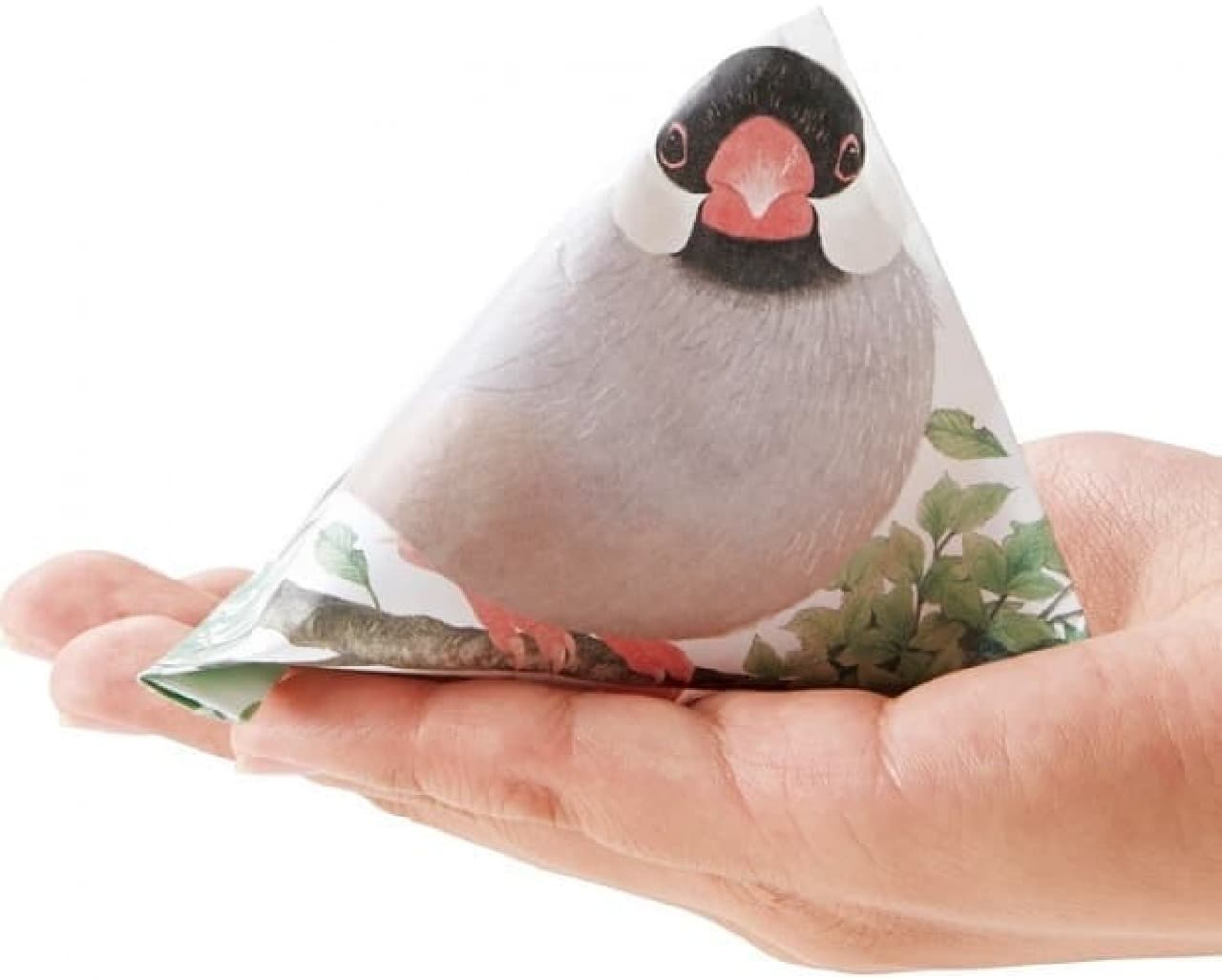 Started selling from "Hand-riding Java Sparrow Tetra Pochibukuro" and "YOU + MORE!"