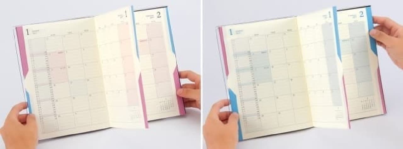 Midori "Double Schedule Diary"