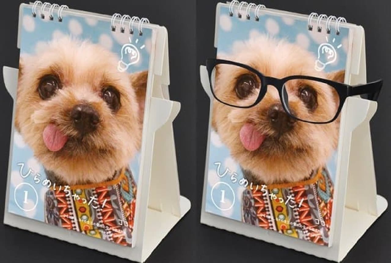 Permanent day turning calendar with glasses holder "Cat" "Inu"