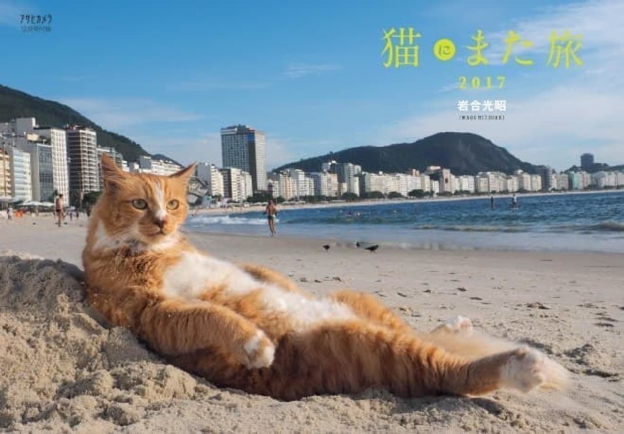 岩合光昭さん撮影の猫カレンダー「猫にまた旅2017」