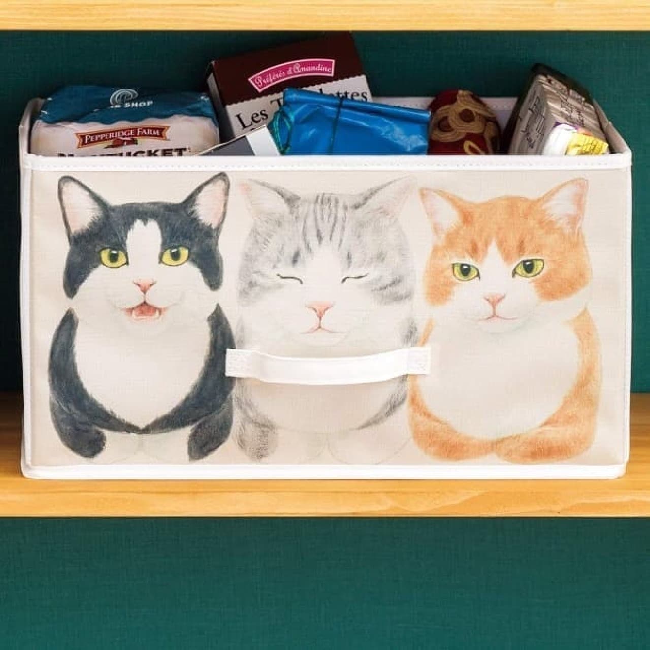 「香箱座り猫の収納ボックス」、フェリシモYOU＋MORE！から