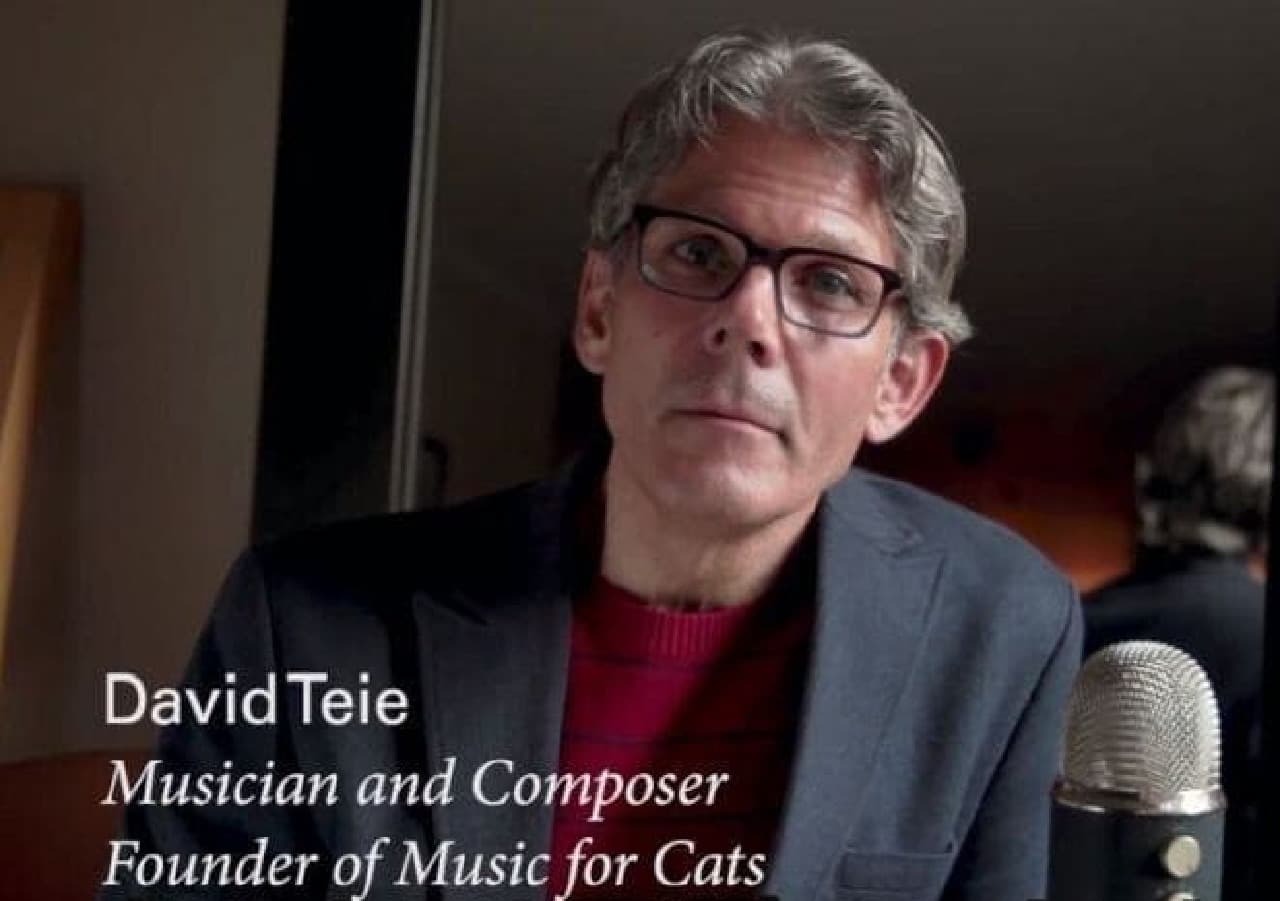 ネコがうっとりする音楽CD「ねこのための音楽 - Music For Cats」