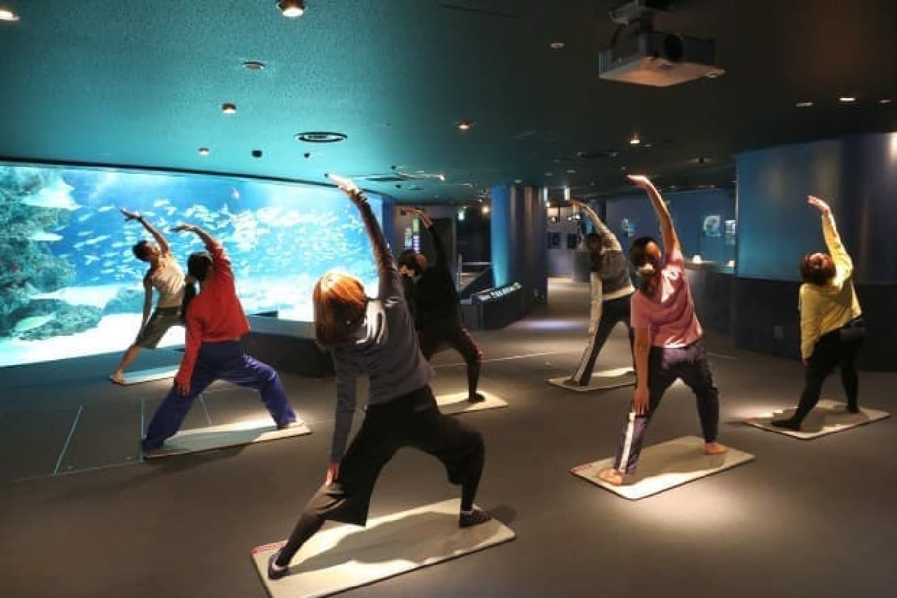Women-only event "Night yoga at the Sunshine Aquarium!"