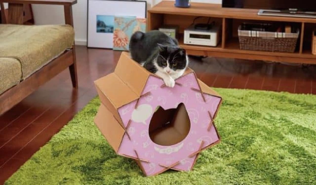 Konpeito-shaped cat house "Nekoya Konpeito"