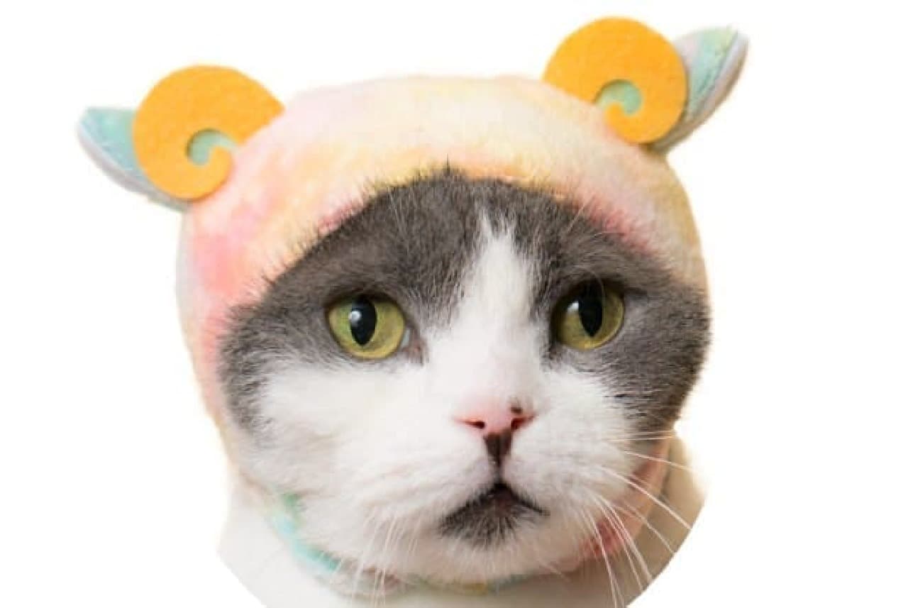 Kitan Club "Cute Cute Cat Sheep-Cool Relaxing Color-"
