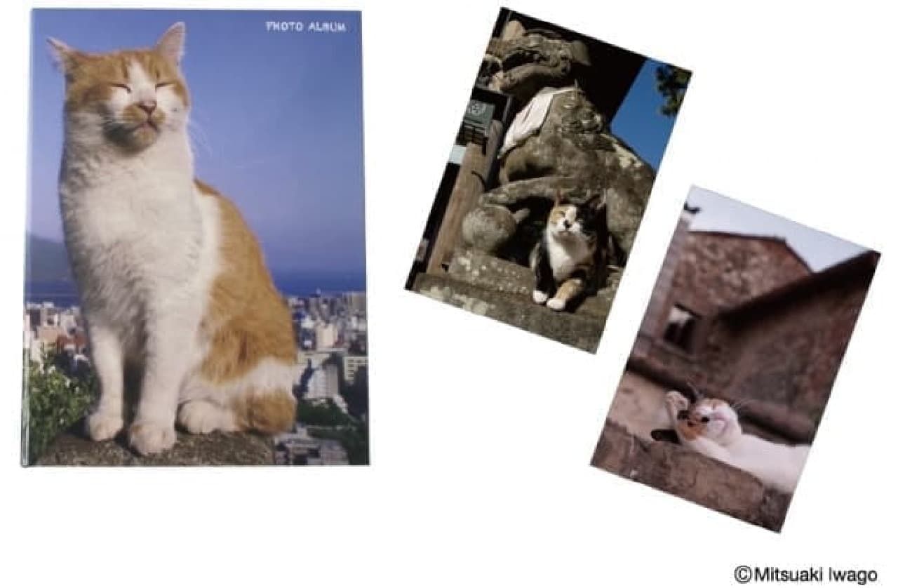 Original frame stamp set "" Kakuru "-Mitsuaki Iwago Cat News-"