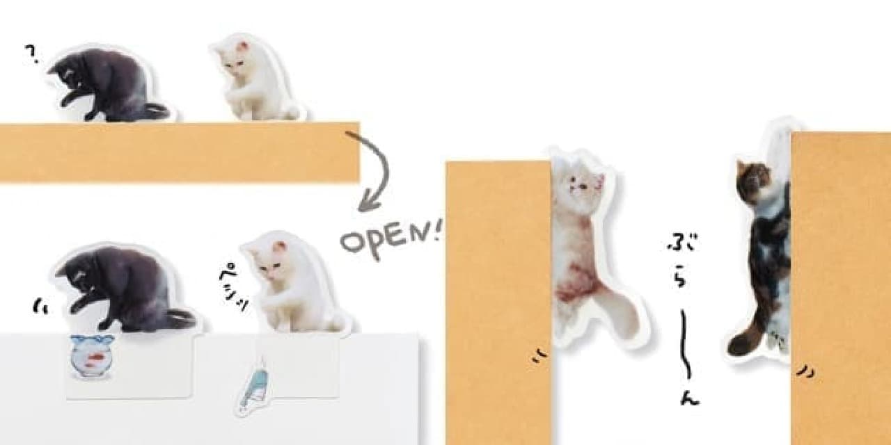 Felicimo Cat Club "Are you there !? A meeting of cat sticky notes [Part 2] playing with notebooks"