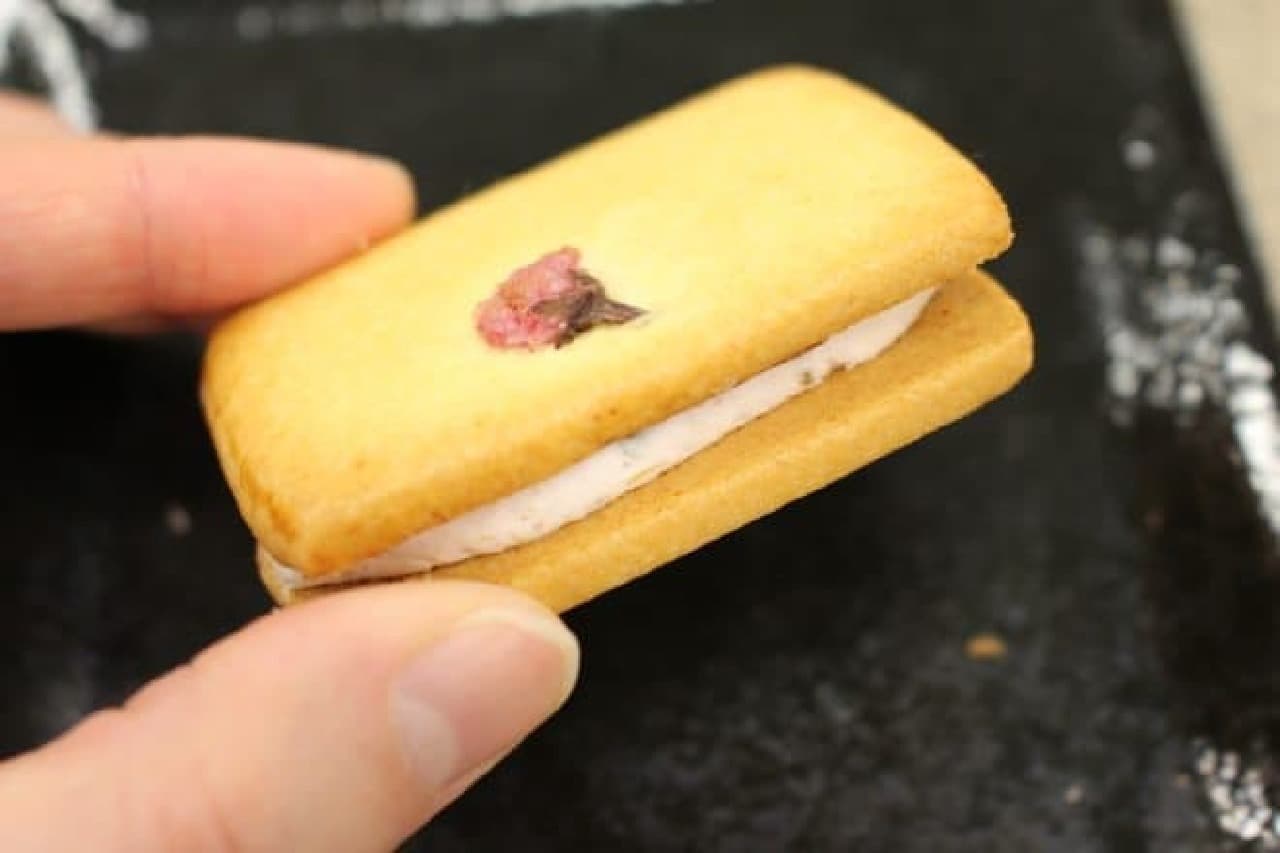 Cherry cream sandwich cookie