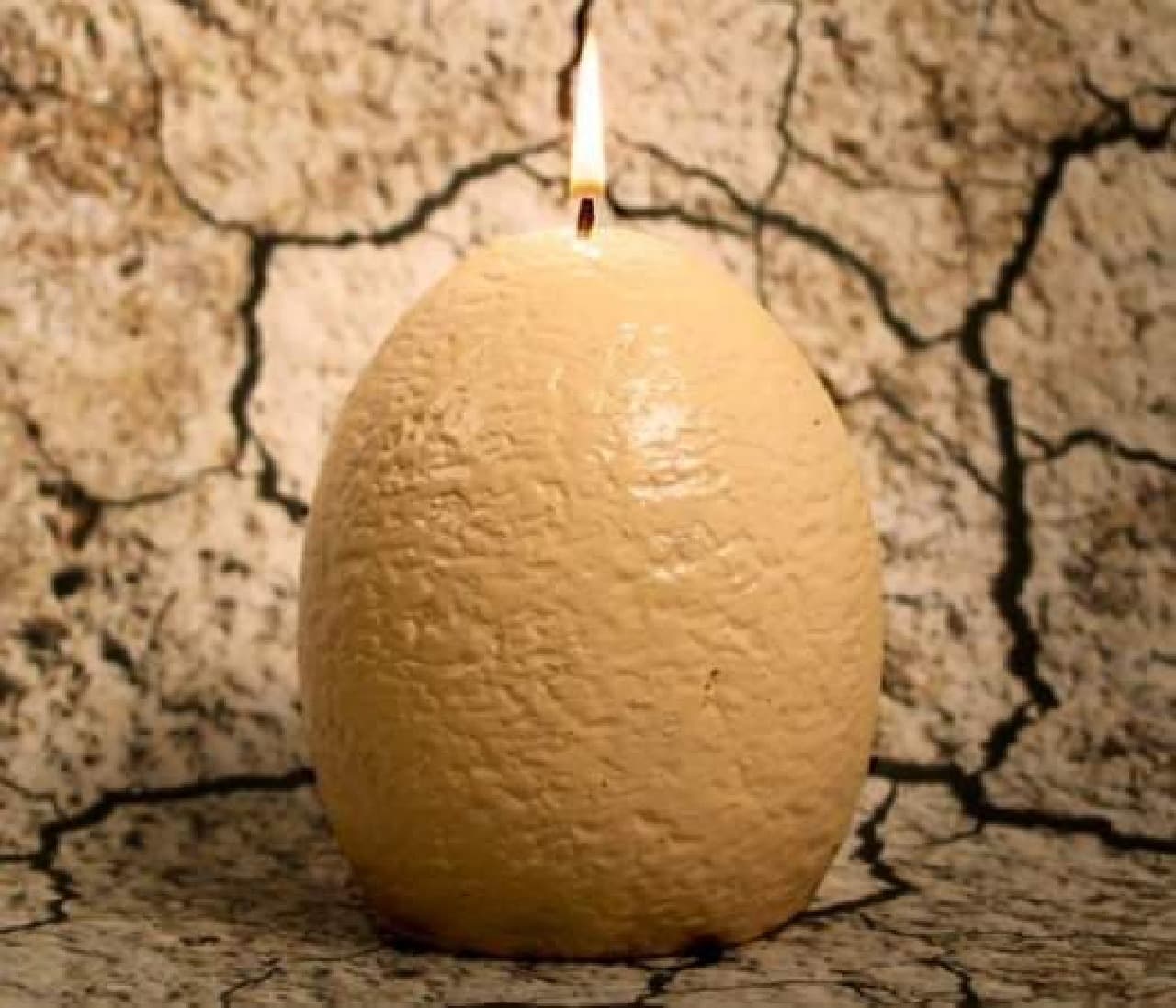 Dinosaur egg candle