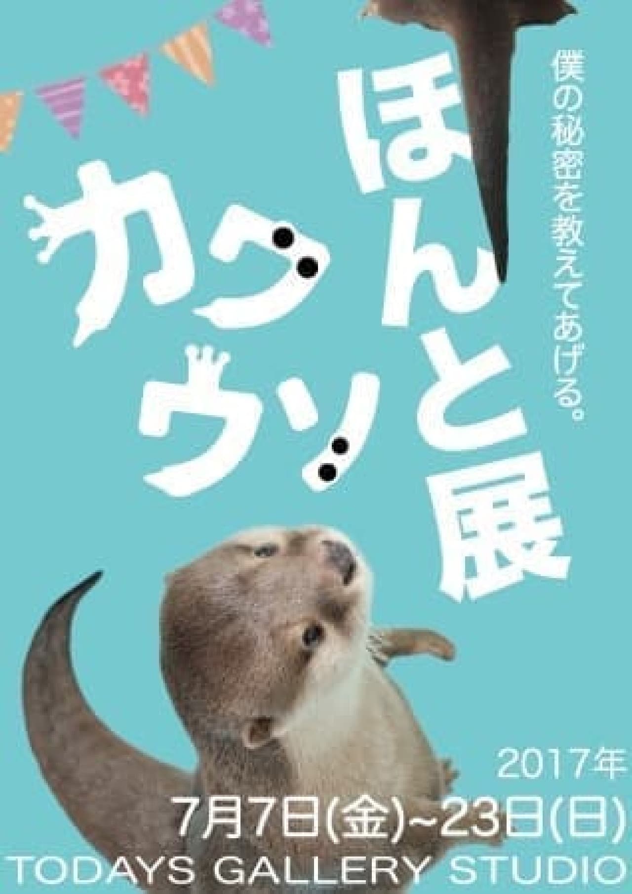 Otter Joint Photo & Product Sales Exhibition "Otter Real Exhibition"