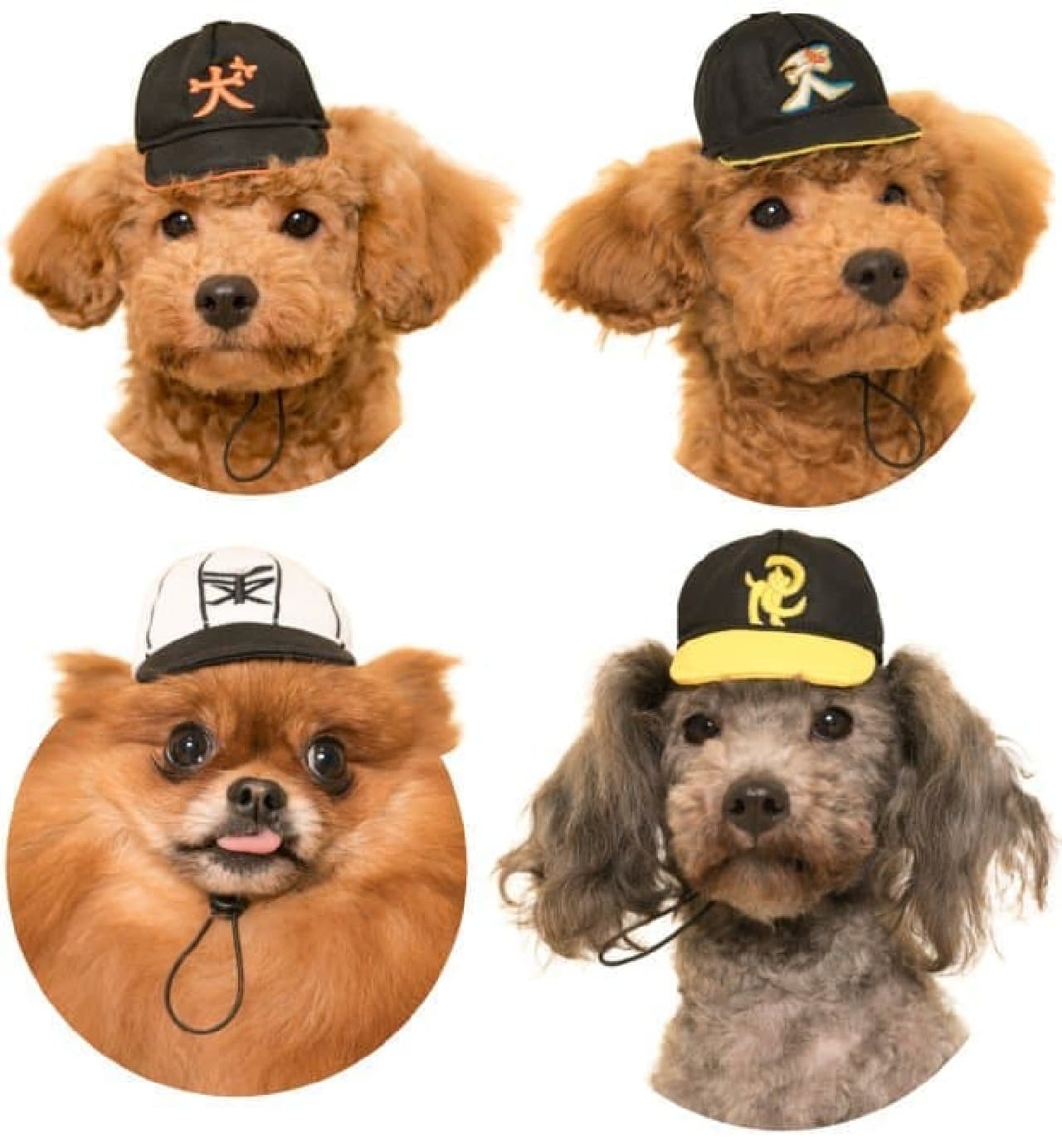 Dog headgear "Cute cute dog baseball team"