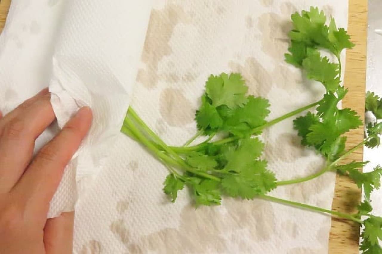How to save coriander