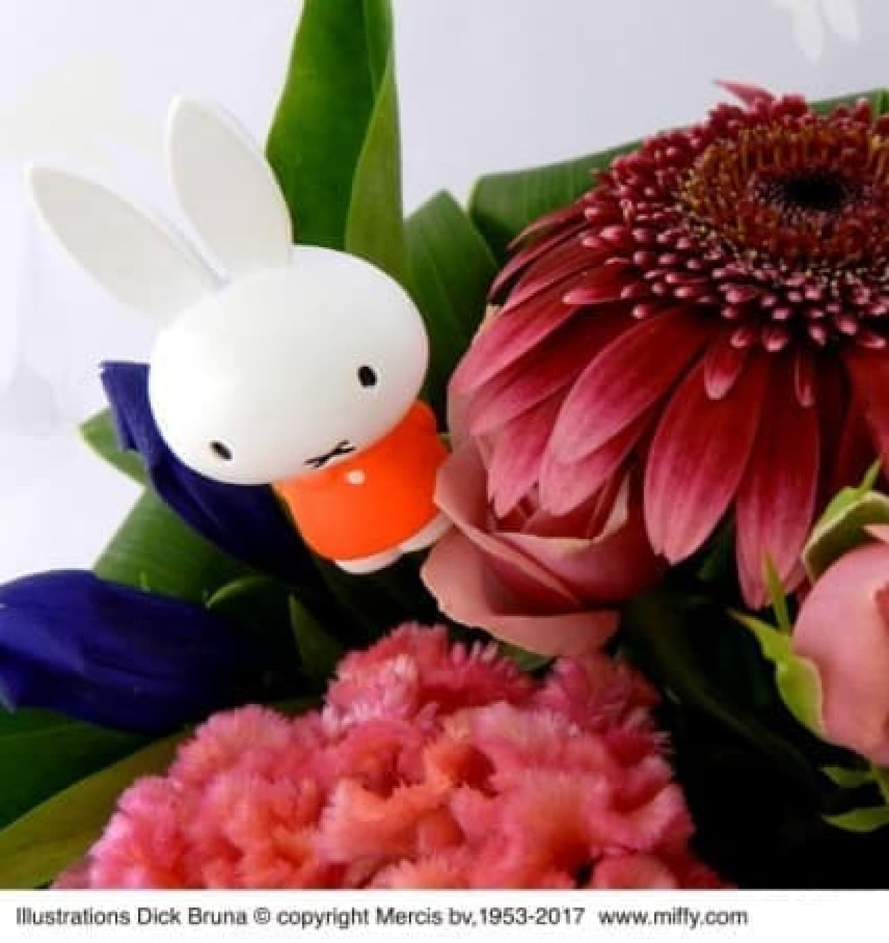 Flower Miffy Respect for the Aged Day Gift