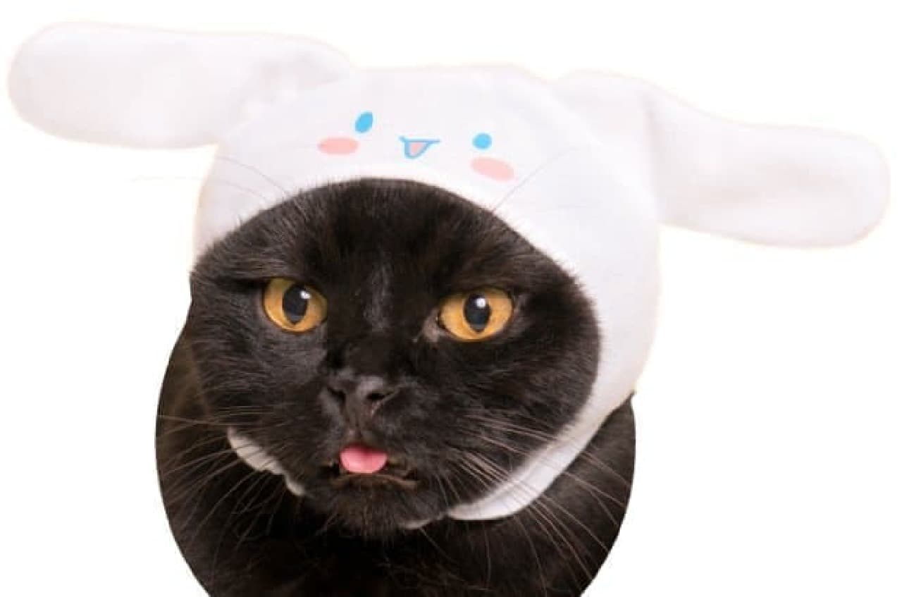 Cute cute cat headgear Sanrio Characters