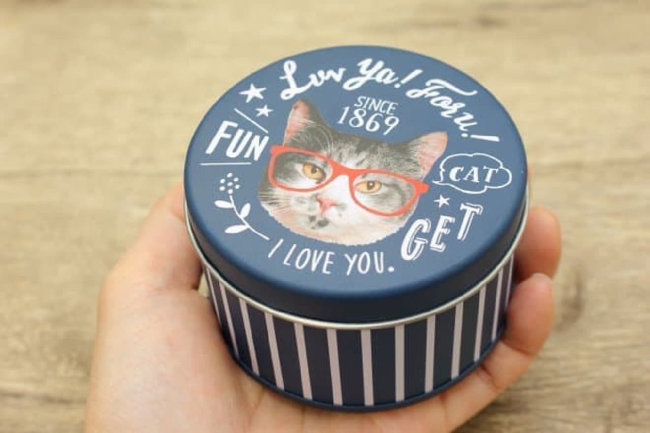 100 cute cans, cat design